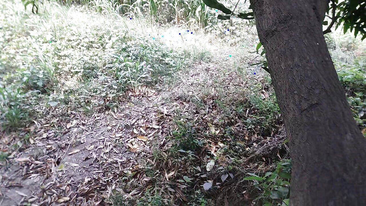 The boy from the local village goes to the garden and climbs on the ground and punches him