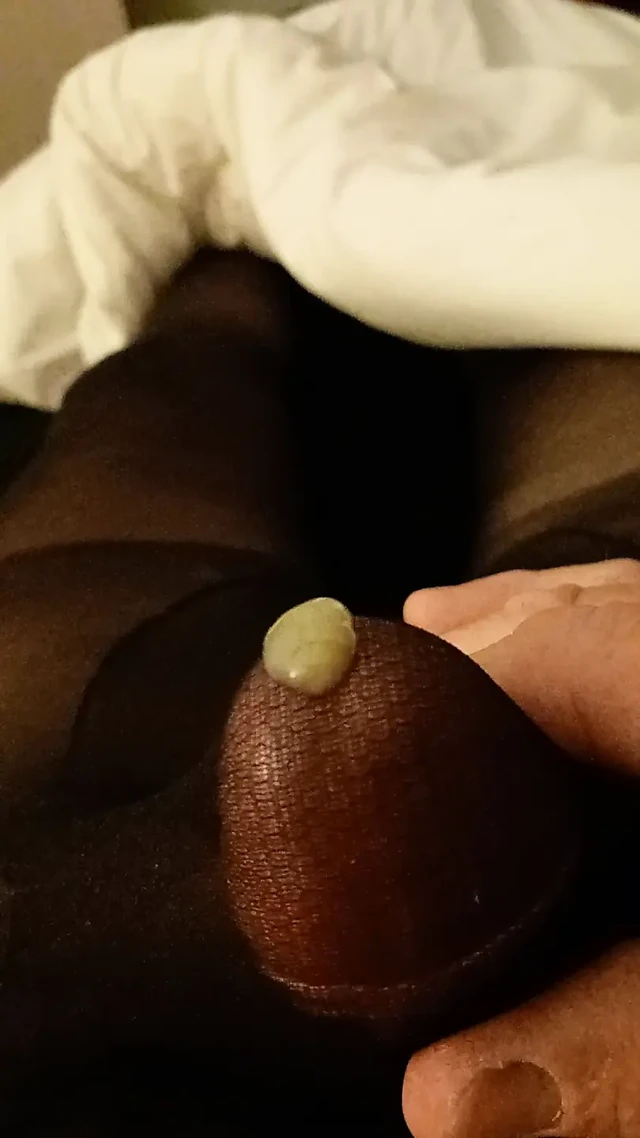 pantyhose