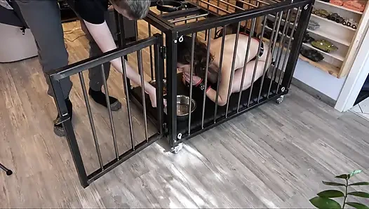 247 Kurma menjaga budak seks dalam kehidupan sehari-hari