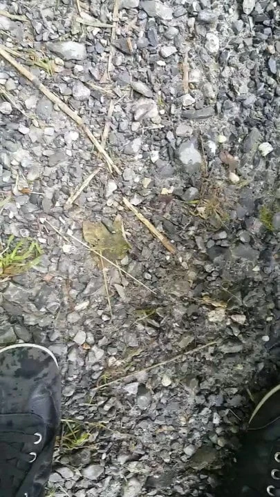 Pisilő nők