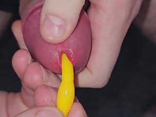Steek verschillende dikke penispluggen in mijn penis
