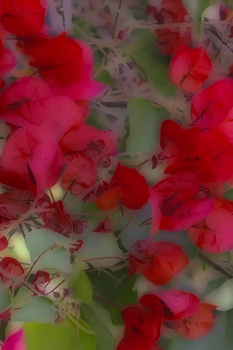 Geile Sommer Orgie with Hot Babes Sucking and Riding Cock