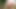 Lakeside Cop porn video – Sexy blonde with huge boobs rides on huge cock at lakeside