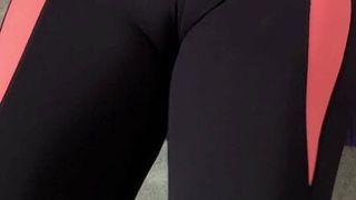 Cagna svizzera che mostra zoccolo di cammello - ginnastica femminile svizzera