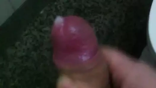 pupublic içinde