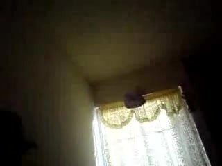 golosa