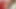 Stepson woke me up with delicious oral and vaginal sex