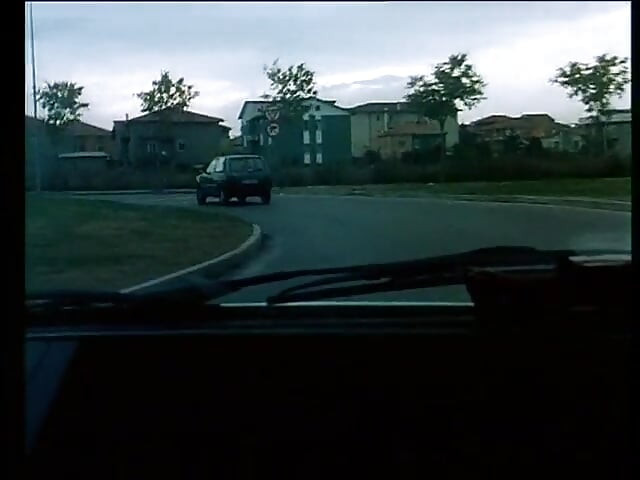 الجنس البري - دي في دي