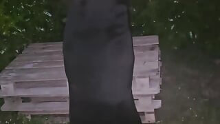 Sofymilfxxx