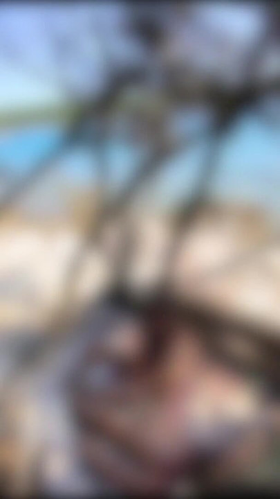 I touch a stranger's COCK on a PUBLIC BEACH in CROATIA in front of everyone (REAL) #2 | Clip 2