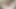 大学時代の小柄な女の子を追いかけてる