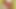Chick rides dildo on wall