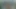 JerkinDad14 - Mature Hairy Skinny Big Dick Poz Daddy Masturbating His Dong Verbal Bate Session Huge Poz Load Cumshot