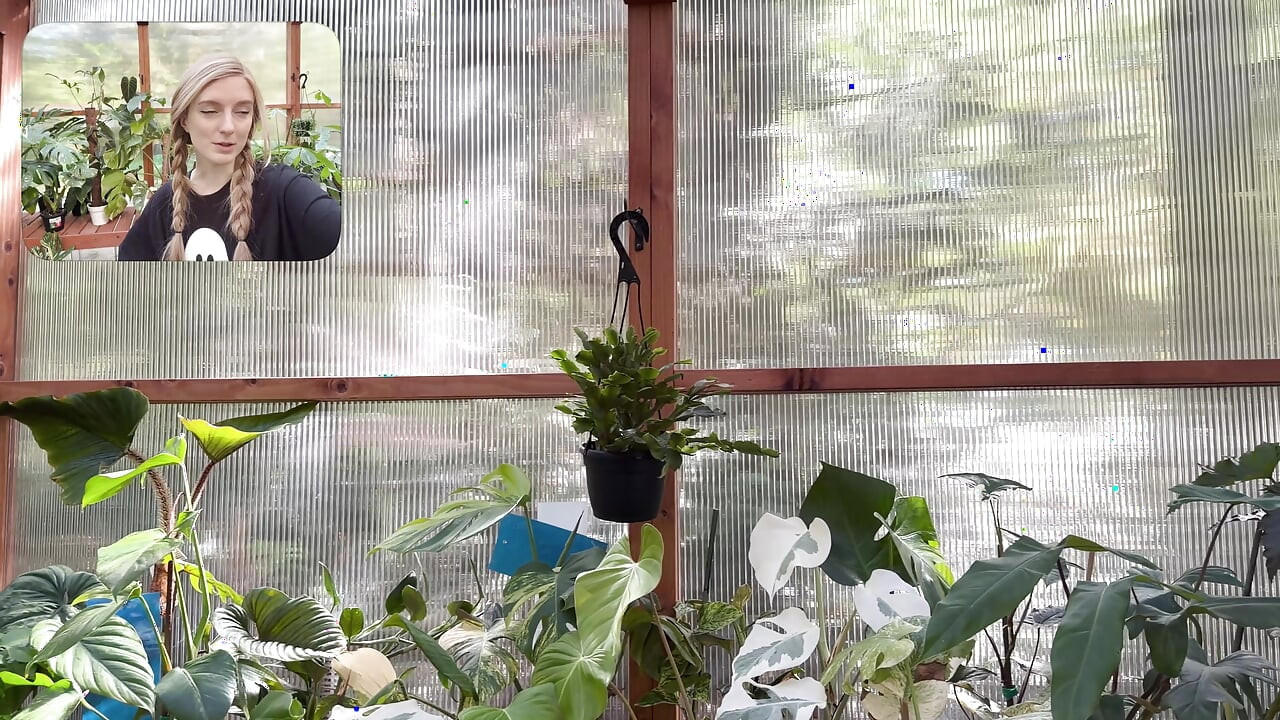 Moving My Plants Indoors