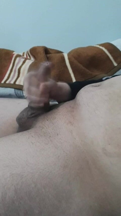 Anelehta