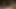 Trans Tittyfuck Cumshot