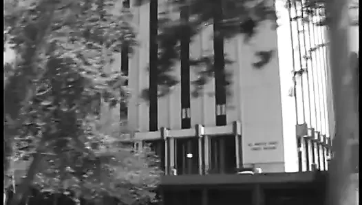 Черной ебаре лижут бритую киску, затем скачет на черном хуе