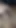 Indian Cock
