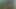 Army guy's anus is ripped open and fucked deep by a huge black dildo on a tree in the forest