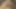 Nevjerojatna ladyboy s tvrdim velikim kurcem jebana u guzu otpozadi