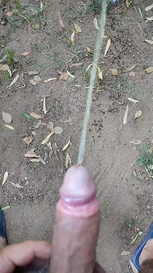 Pišaćka