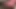 Close up cumshot.