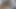 Büyük zenci yarağı amatör Kenyalı amcığı domaltarak sikiyor