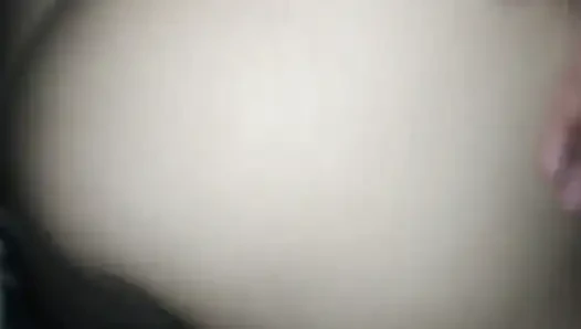 Fucked on All Fours Latina