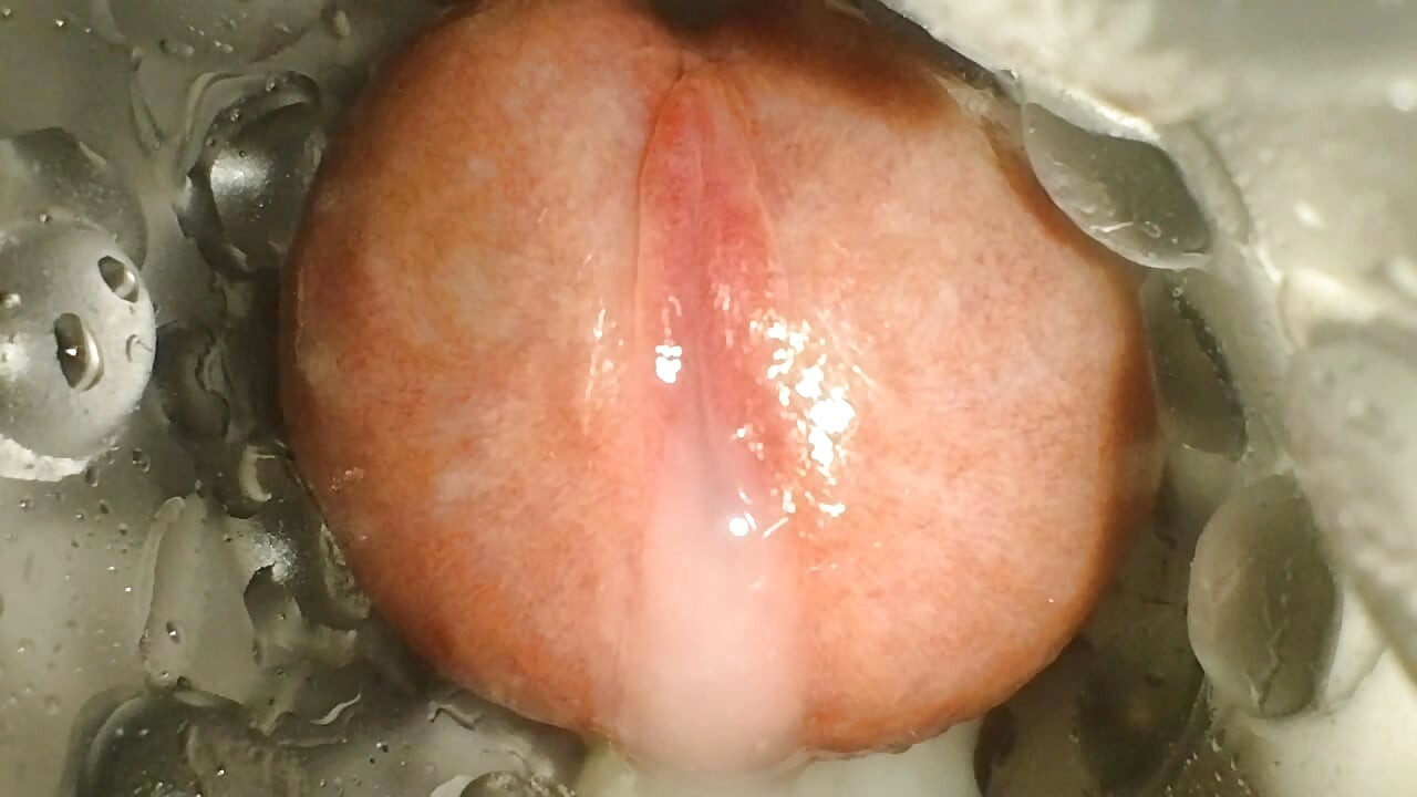 ASMR FLESLIGHT POV CUMSHOT CLOSE UP from my huge cock with slowmotion