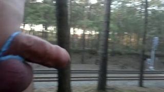 Exibição de trem totalmente nu