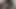 Indian girl want to meet and suck my cock and then i fuck her hard desi bhabhi and Indian  college girl  fuck hard interracial