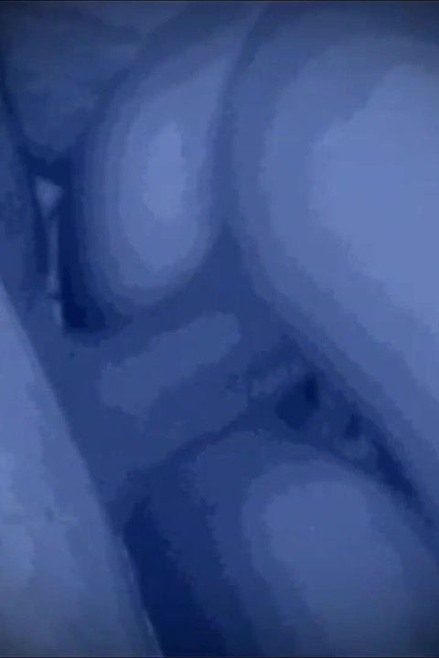 Sex Anywhere Cilt 2