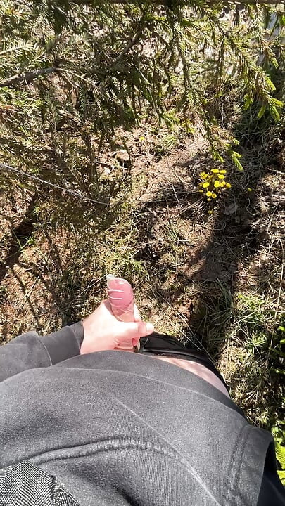 Jerk off in the forest
