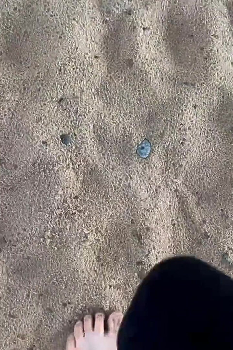 הליכה יחפה על החוף Sfw