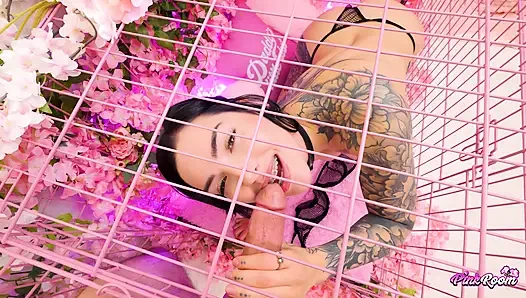 Pink Room ep.30: mag numb si cewek nakal dengan tubuh aduhai dientot habis-habisan sampai dicrot di dalam