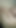 Jaw-dropping moment from "Cute amateur boy with athletic body and hairy chest"