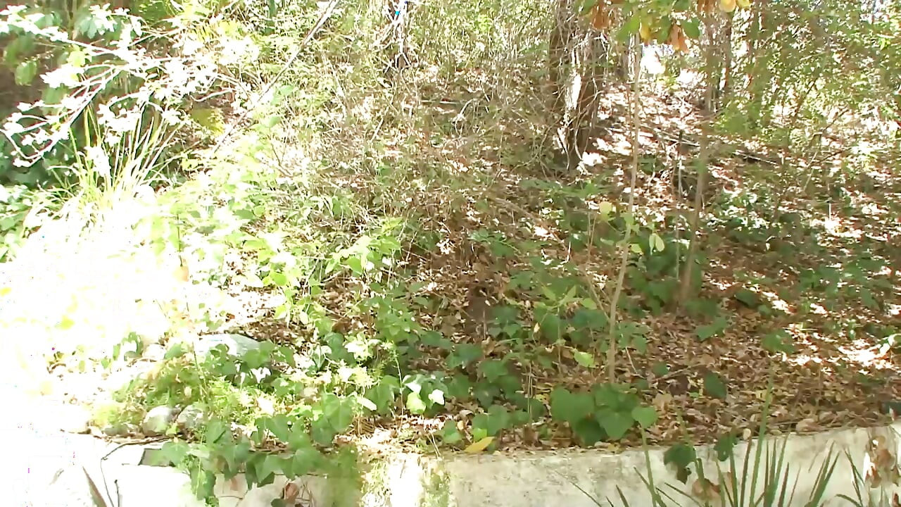 Fresca buceta Zoey Nixon uma puta com cabelos castanhos é fodida