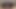 الملاك الآسيوي 25180