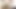 Solo chubby amateur femboi wanking cock