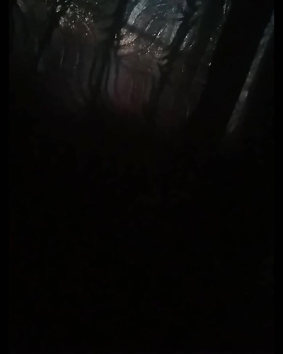 I take my sister-in-law at dawn when she rests