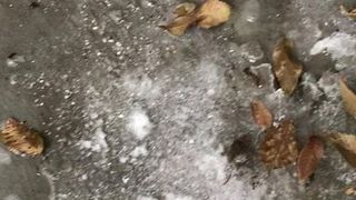 Piscia in pubblico nella neve
