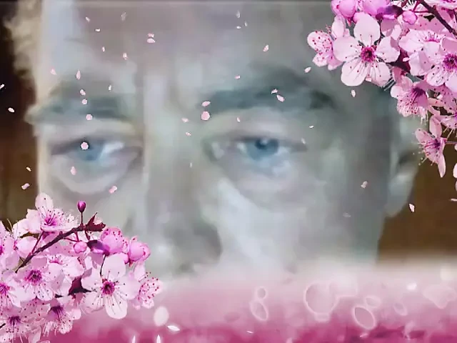 Daddy's Face