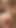 Stepdad's Call Caught Us Right at the Moment of Cumshot!
