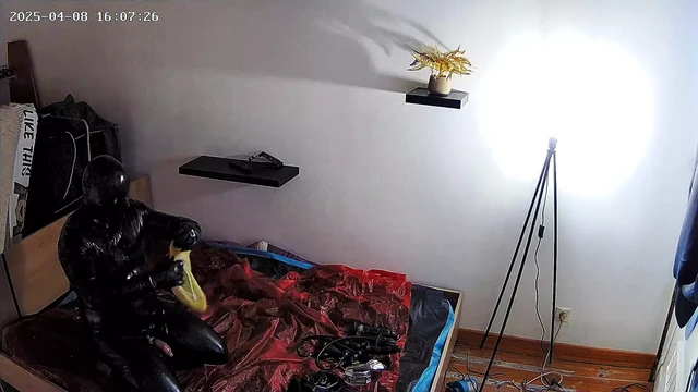 Latex Anal Insertion Partie 2