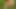 Çıplak fotoğraf çekimi yaramaz elle muamele ve hızlı sekse doğru tırmanıyor ama erken patlatıyorum