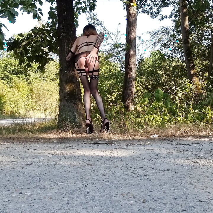 Die große Tour von La Faisanderie, für mich allein! Präfekturalsbeschluss!