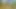 Sex in the woods with the wife, taking a blowjob hike until cum