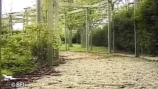 Xkiss - Mc plajda, bölüm 4