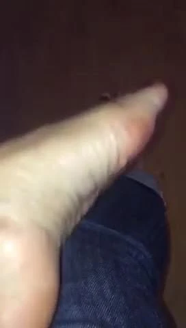 Wifes feet again