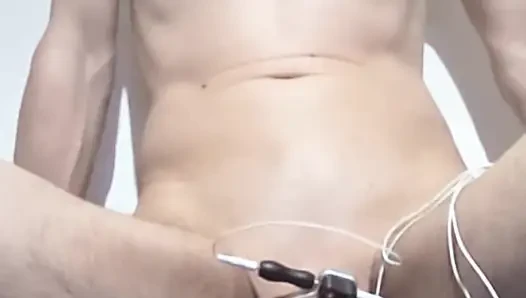 Yavru, Electrosex tarafından sağılır ve patlayana kadar